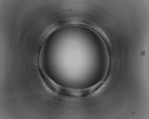 X0000094900801200711291231