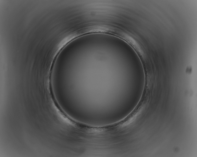 X0000094900802200711291231