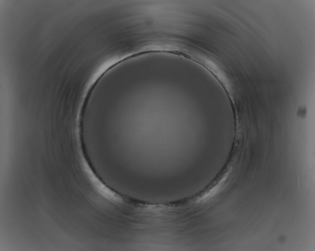 X0000094900803200711291231