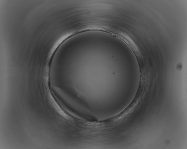 X0000094900804200711291231