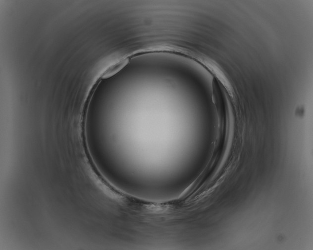 X0000094900805200711291231