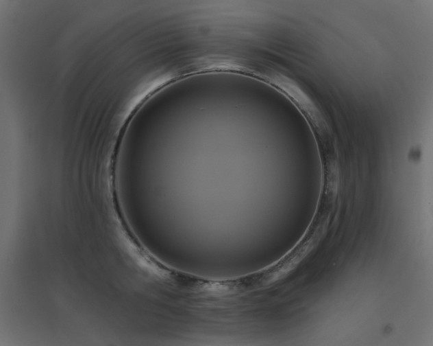 X0000094900806200711291231
