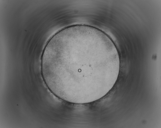 X0000094900807200711291231