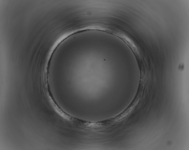 X0000094900808200711291231