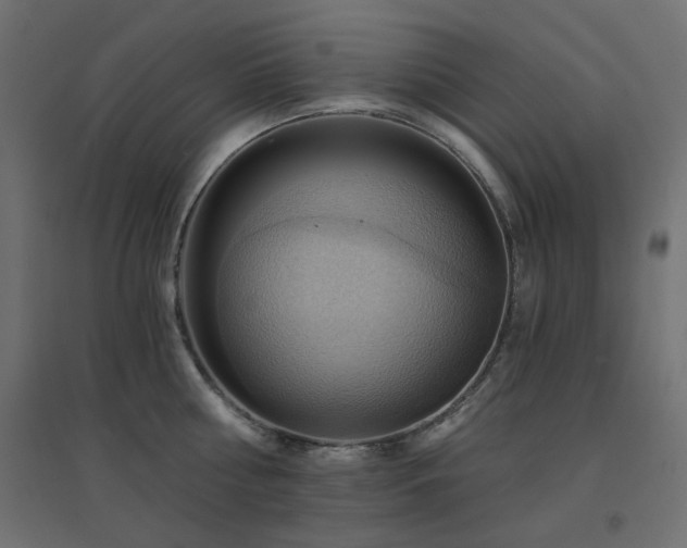 X0000094900810200711291231