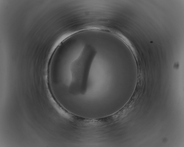 X0000094900811200711291231