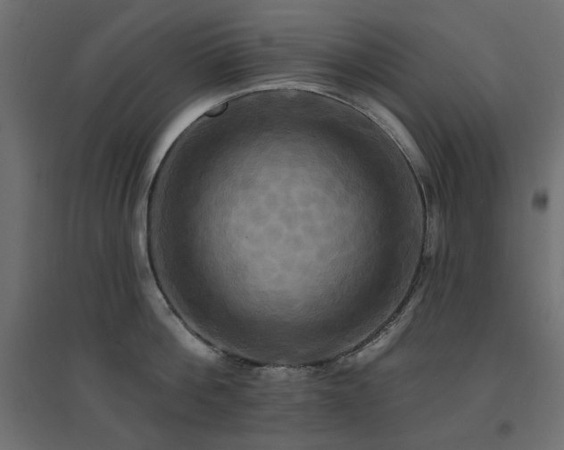 X0000094900812200711291231