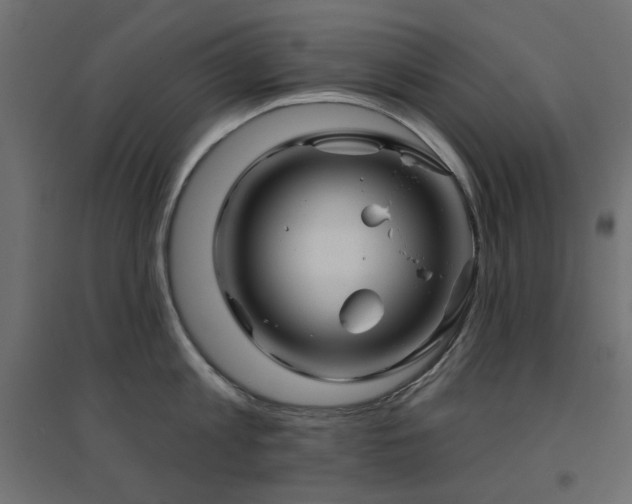 X0000094900813200711291231
