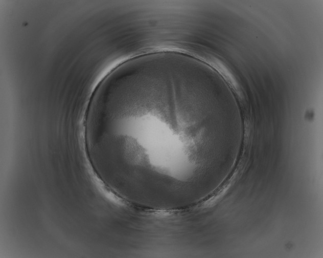 X0000094900814200711291231