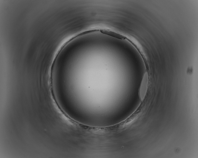 X0000094900815200711291231