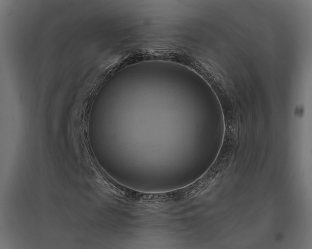 X0000094900817200711291230