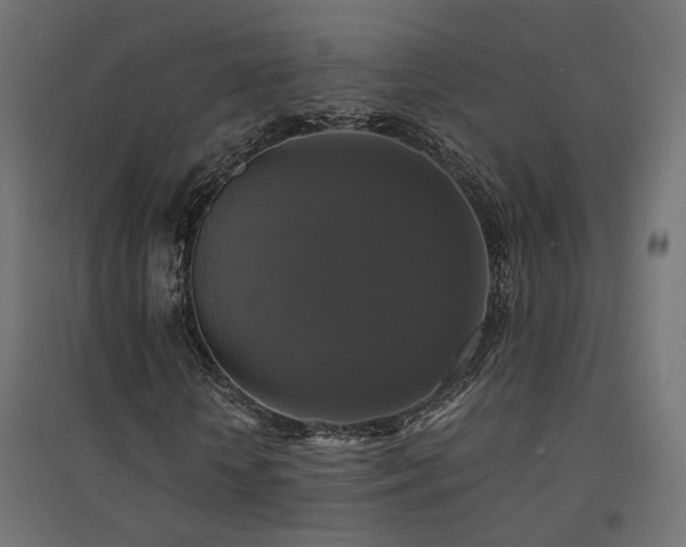 X0000094900818200711291230