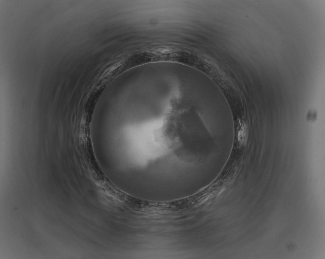 X0000094900819200711291230