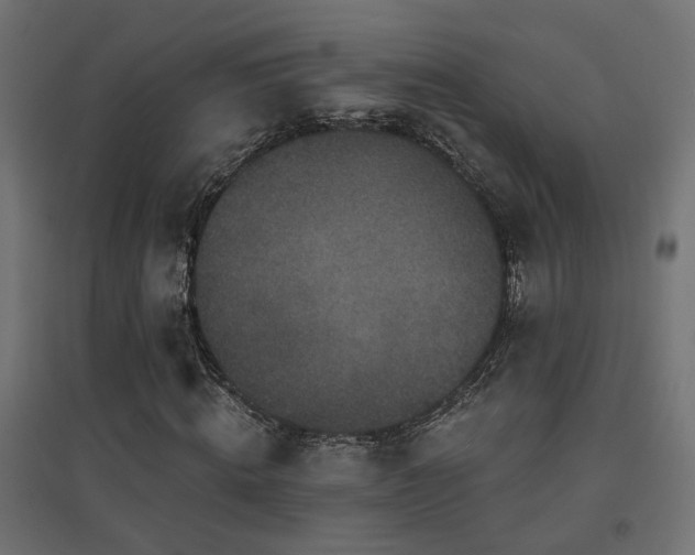 X0000094900820200711291230