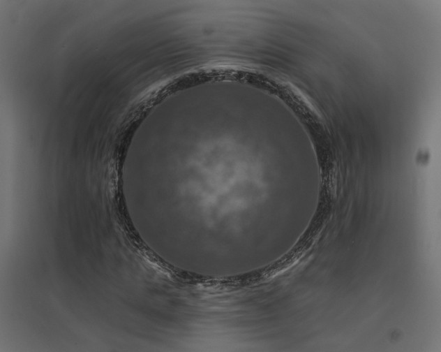 X0000094900821200711291230