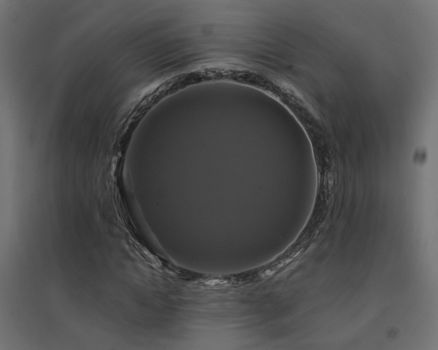 X0000094900822200711291230