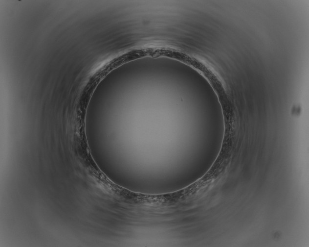 X0000094900823200711291230