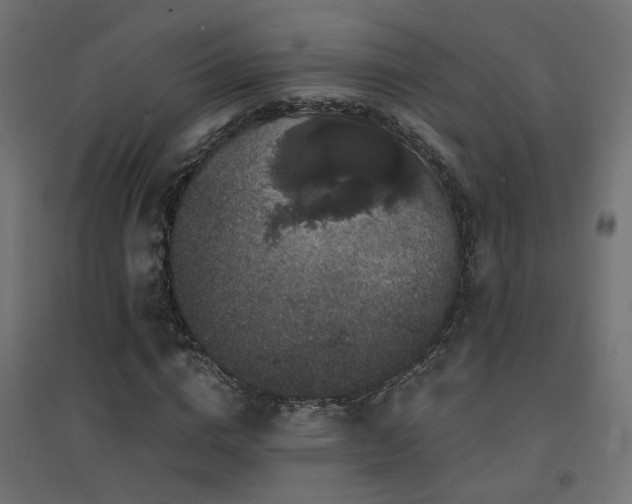 X0000094900824200711291230