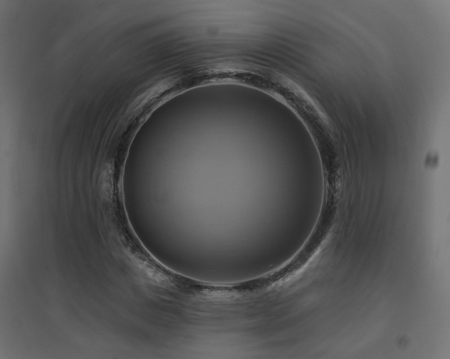 X0000094900825200711291230