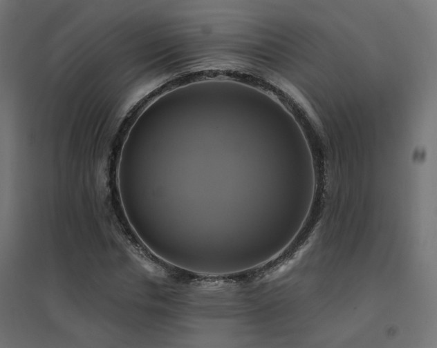 X0000094900826200711291230