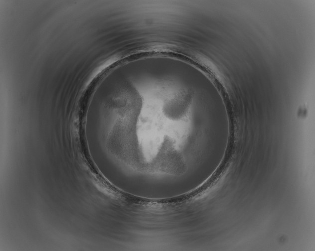 X0000094900827200711291230