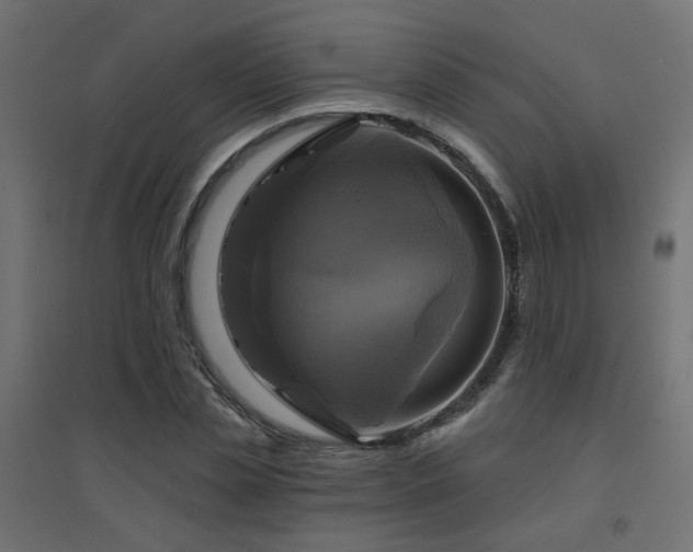X0000094900829200711291230