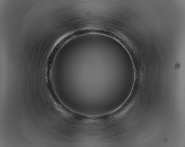 X0000094900830200711291230