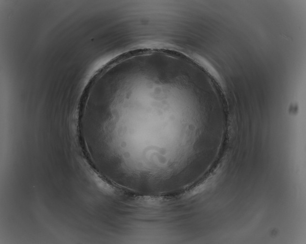 X0000094900831200711291230
