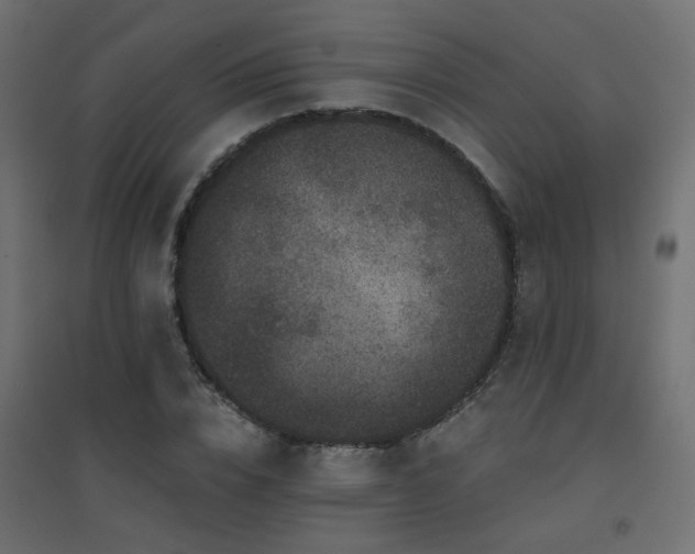 X0000094900832200711291230
