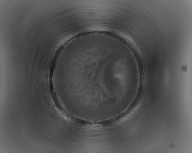 X0000094900833200711291230