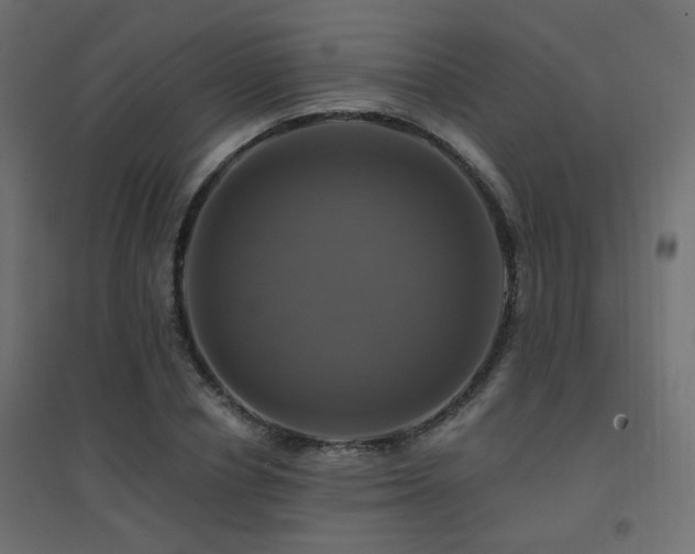 X0000094900834200711291230