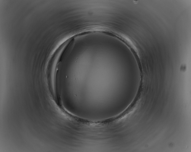 X0000094900835200711291230