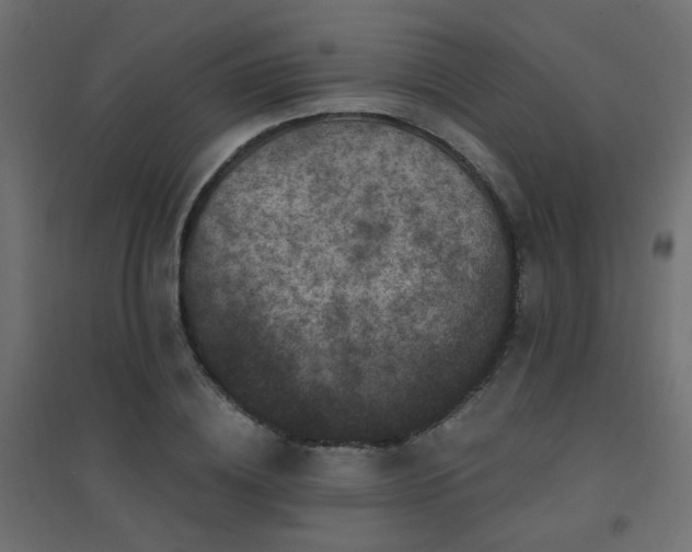 X0000094900836200711291230
