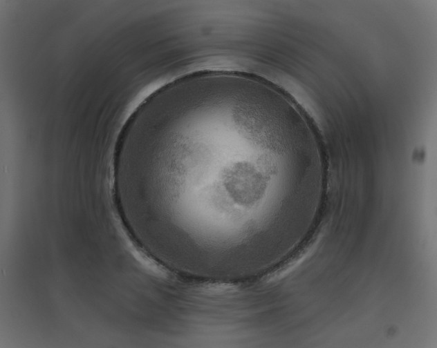 X0000094900837200711291230