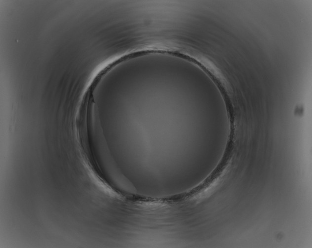X0000094900838200711291230