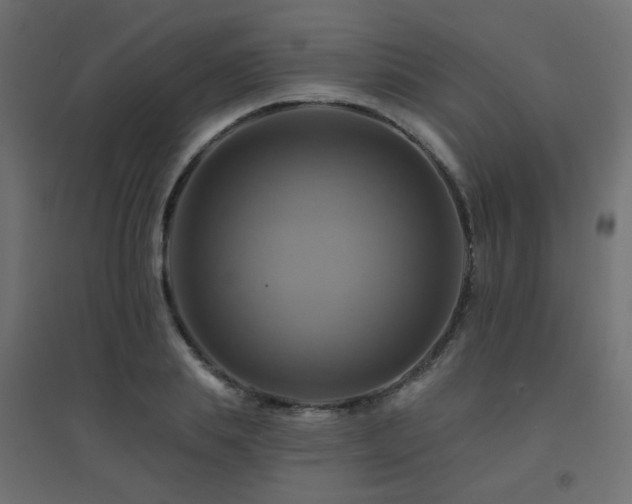X0000094900839200711291230