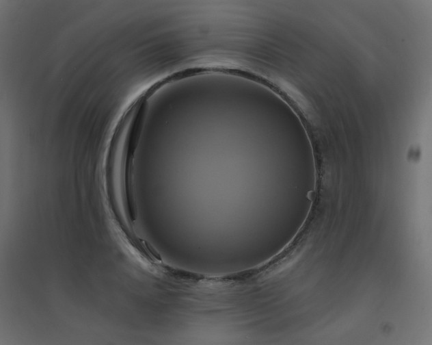 X0000094900840200711291230