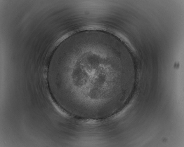 X0000094900841200711291230
