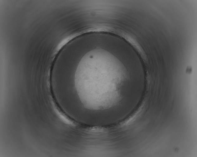 X0000094900842200711291230