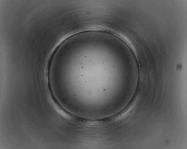 X0000094900843200711291230
