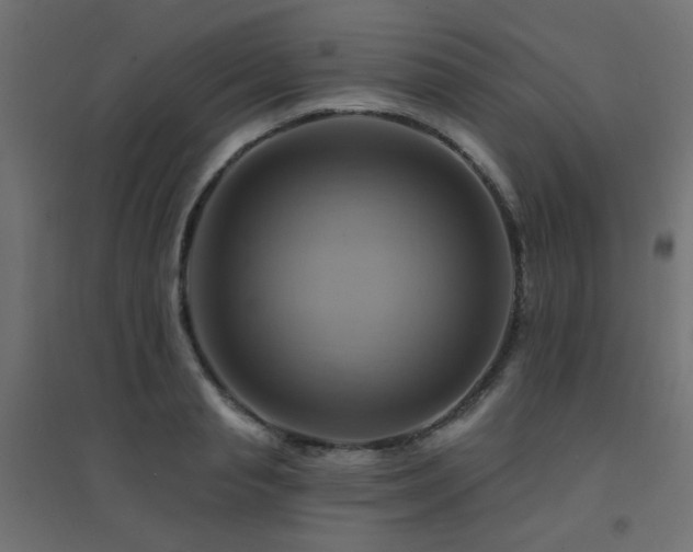 X0000094900845200711291230