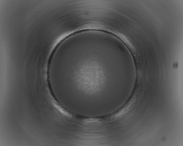 X0000094900846200711291230