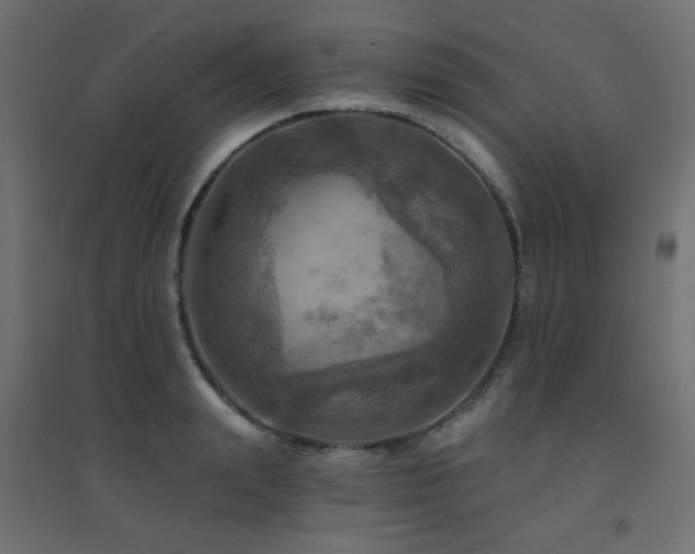 X0000094900847200711291230