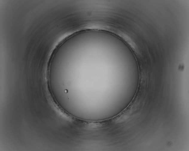 X0000094900848200711291231