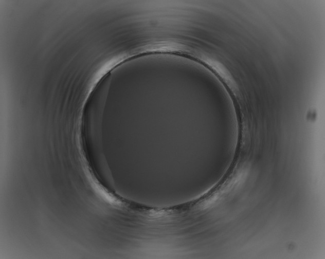 X0000094900850200711291231