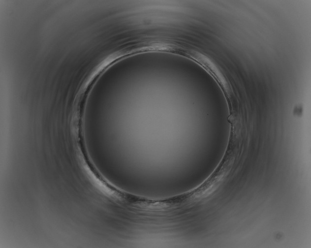 X0000094900851200711291231