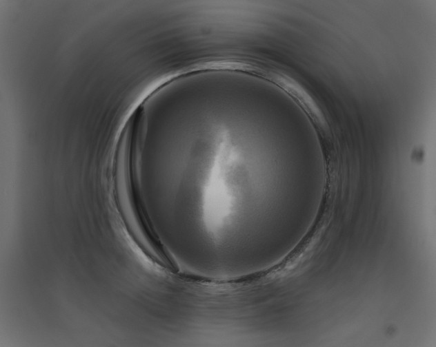 X0000094900852200711291231