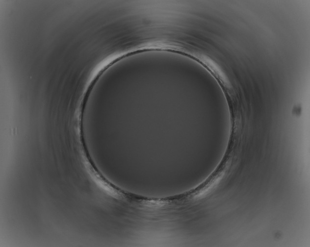 X0000094900854200711291231