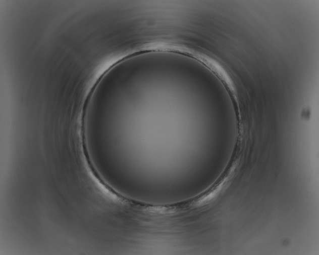 X0000094900855200711291231