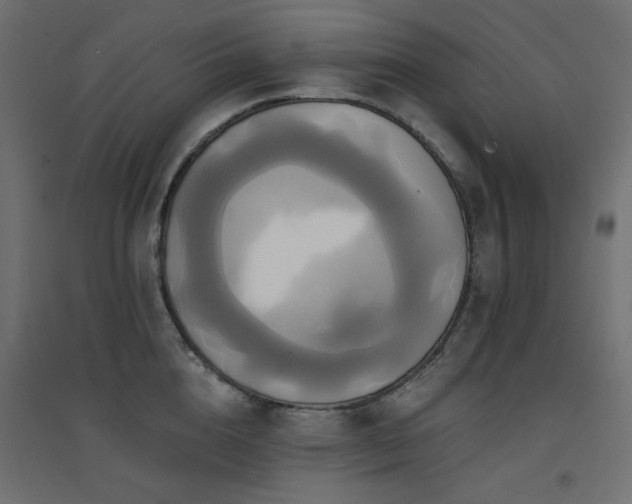 X0000094900856200711291231